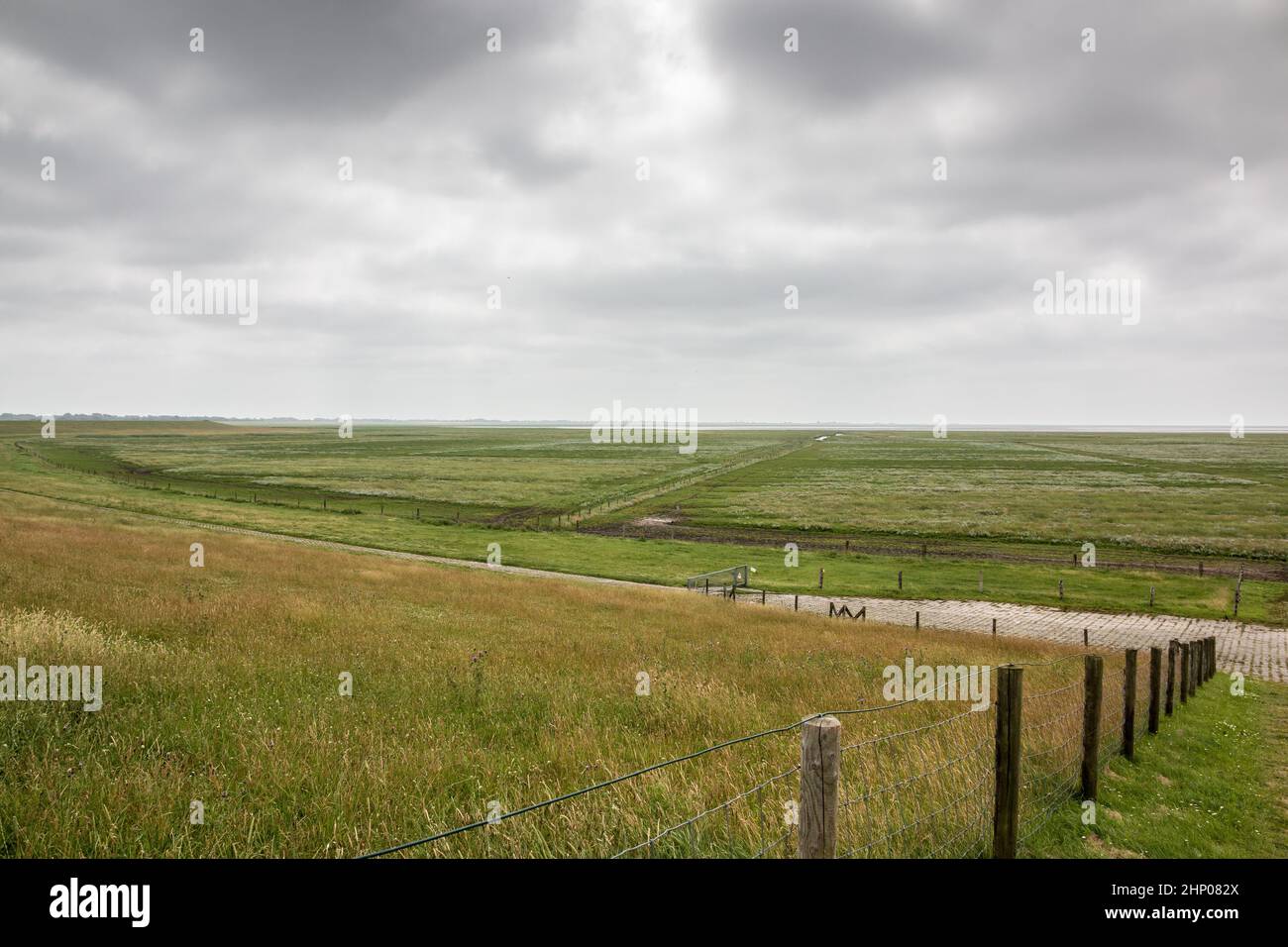 Grüne flache Salzwiesen in der Nähe der Nordsee Stockfoto