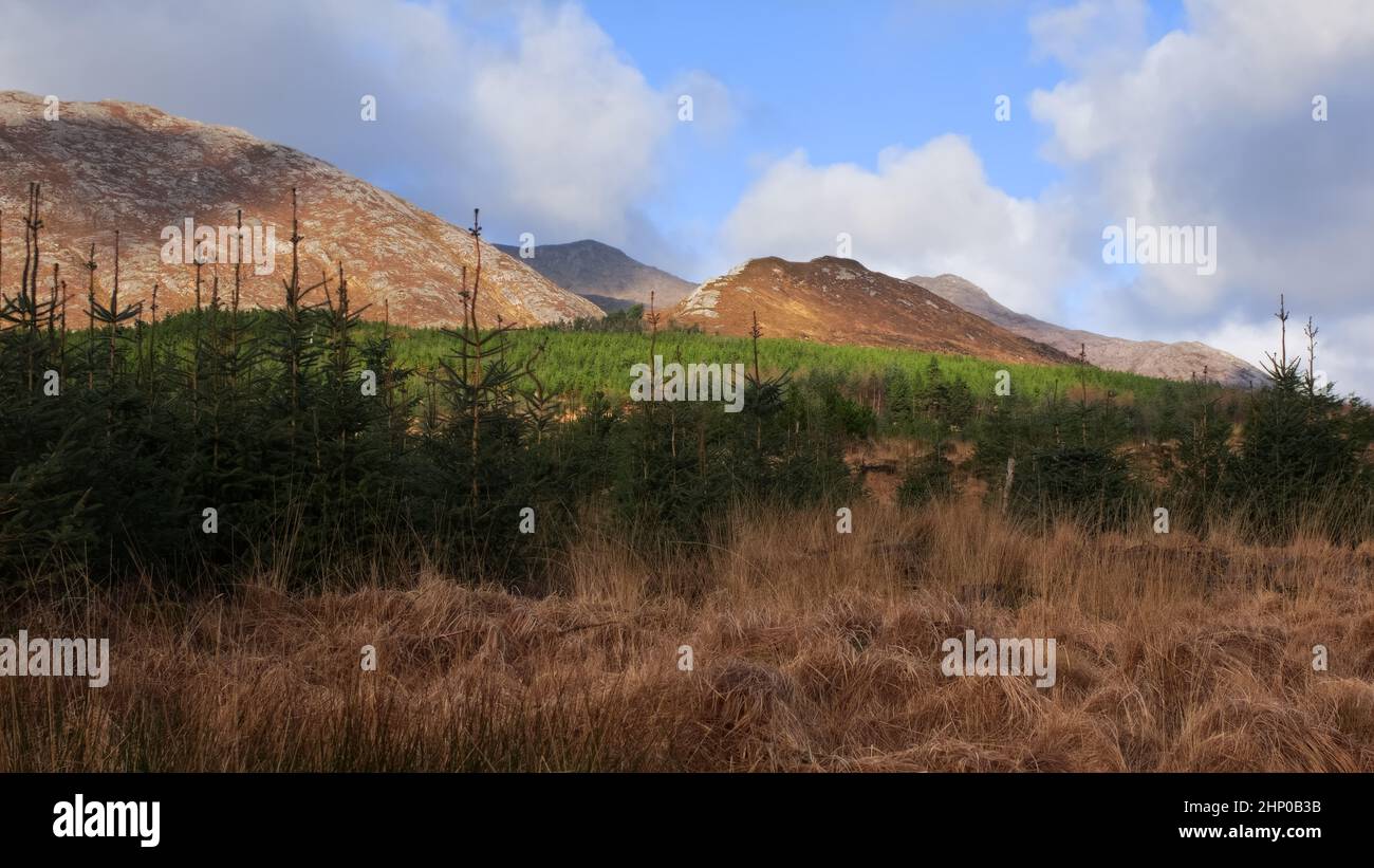 Wunderschöne zerklüftete Landschaft mit Bergen im Derrylare Naturschutzgebiet im Connemara Nationalpark, Grafschaft Galway, Irland Stockfoto
