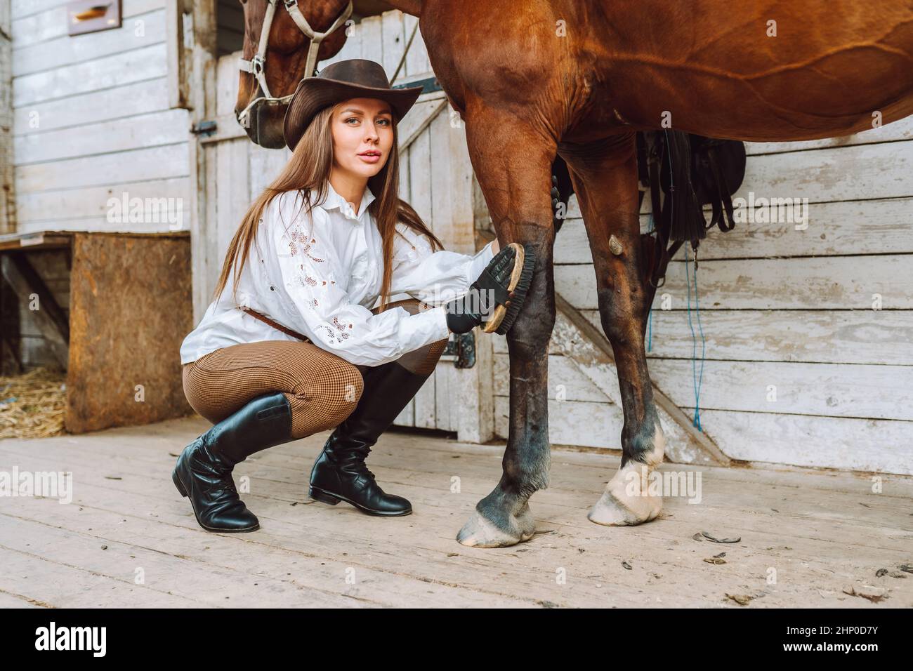 Schöne Pferdefrau Reitpferd in Hut. Pflege, Pflege der Beine. Reiten vorbereiten Stockfoto