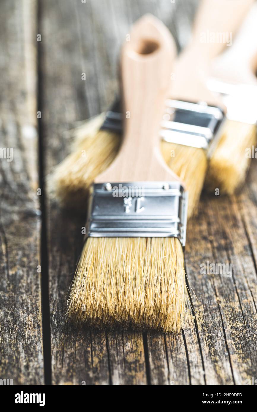 Satz saubere Farbbürsten auf Holztisch. Stockfoto