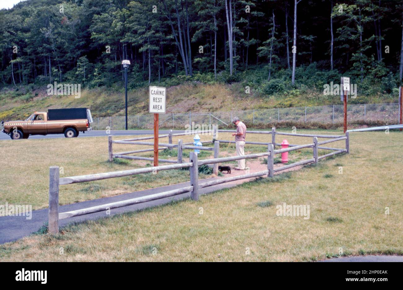 Ein ‘Canine Rest Area’ am Straßenrand in Connecticut, USA im Jahr 1980 – ein Mann hat seinen Hund an der Leine im eingezäunten Bereich. Die Fläche ist viel zu klein, um für die Ausübung von Tieren genutzt werden zu können. Die bunten alten Hydranten sind ein Hinweis auf ihren Zweck – eine doggy Toilette! Dieses Bild stammt aus einer alten amerikanischen Amateur-Farbtransparenz – einem Vintage-Foto aus dem Jahr 1980s. Stockfoto