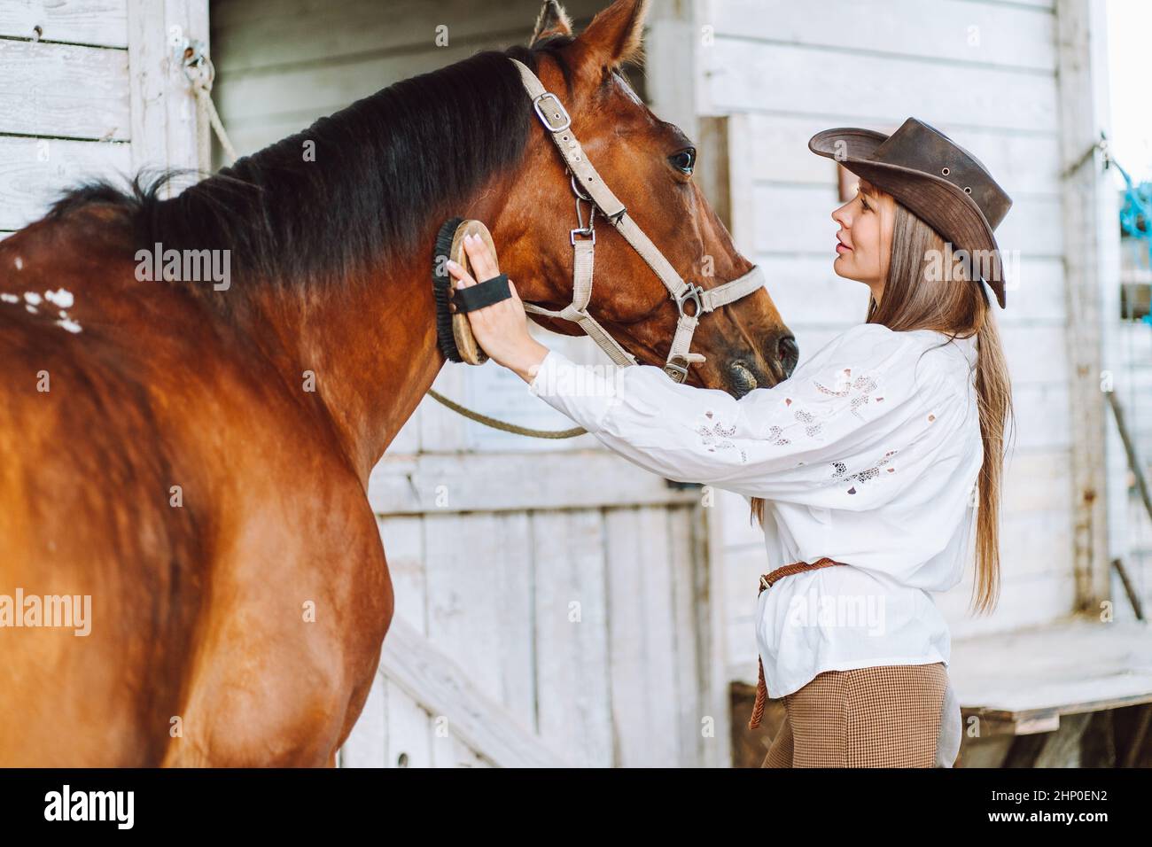 Zartes Pferd Kuh Mädchen Hut. Reinigung Pflege, Pflege Gurt. Reiten. Stockfoto