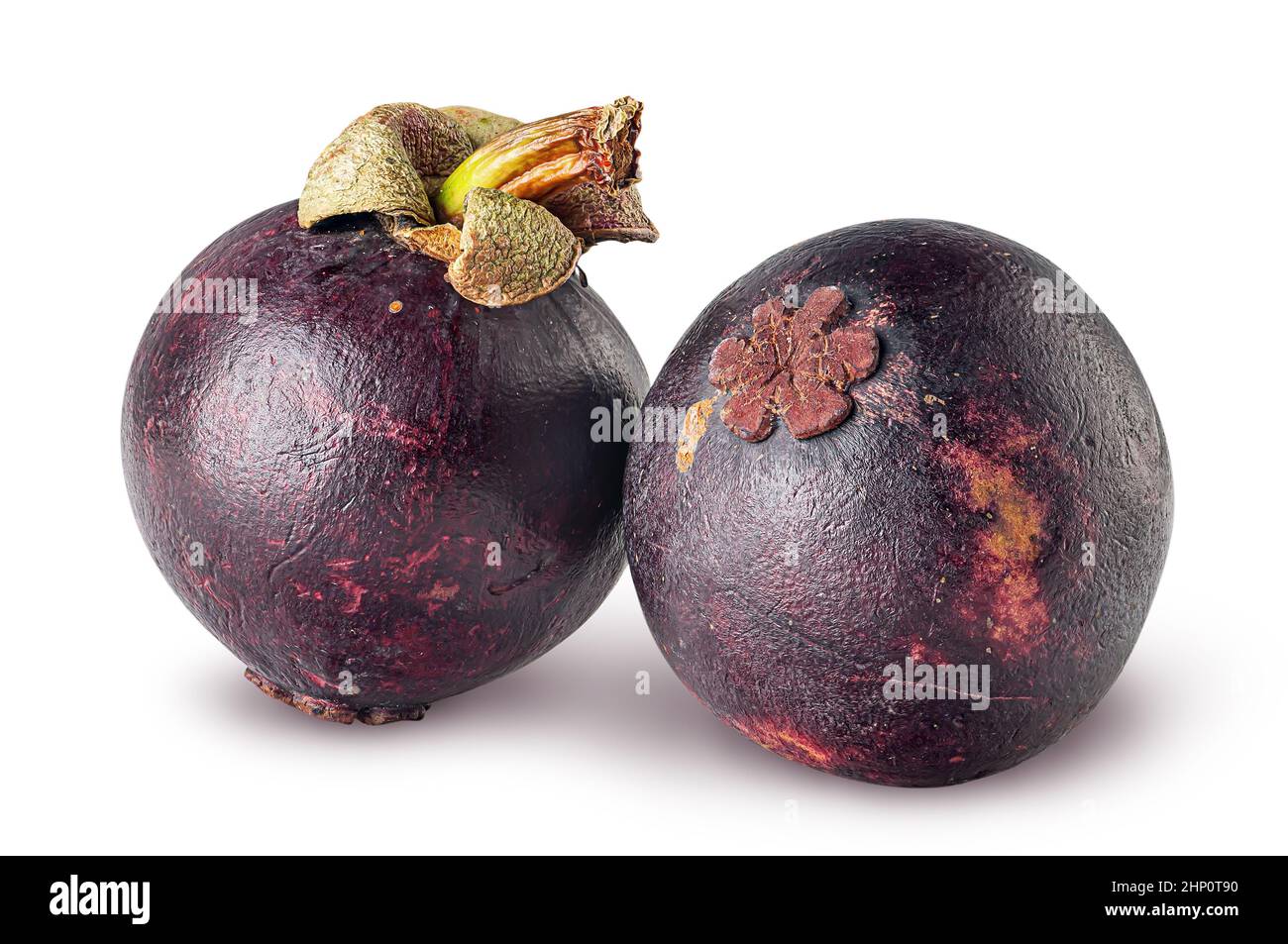 Zwei reife Mangostan isoliert auf weißem Hintergrund Stockfoto