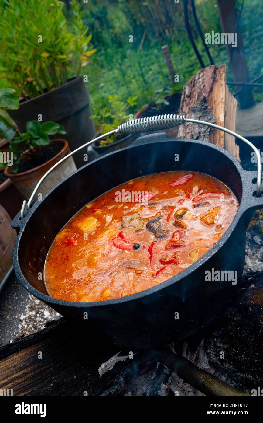 Über einem offenen Feuer wird Wassergulasch zubereitet! Stockfoto