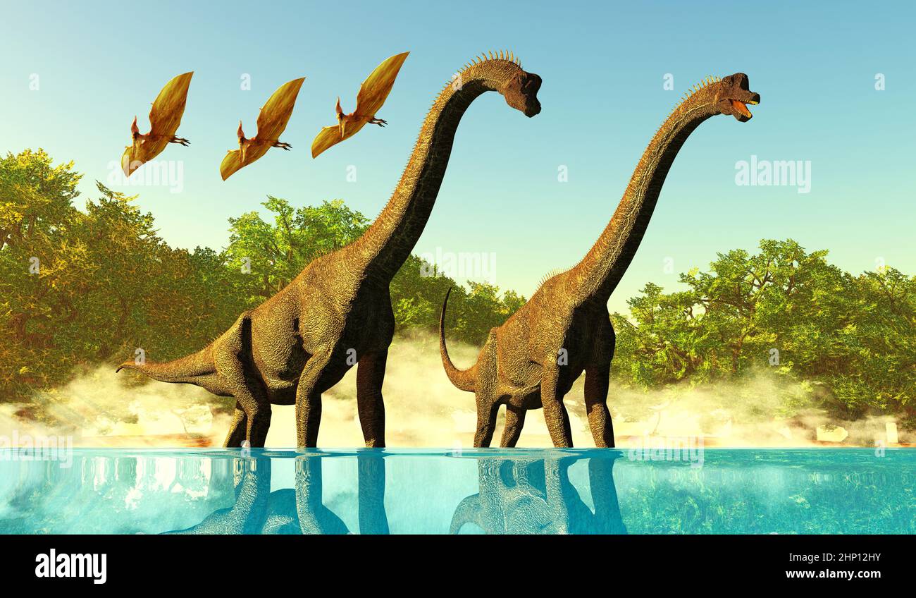 Pterodactyl-Reptilien fliegen über zwei Brachiosaurus Titanosaur-Sauropoden-Dinosaurier, die das Wasser genießen. Stockfoto