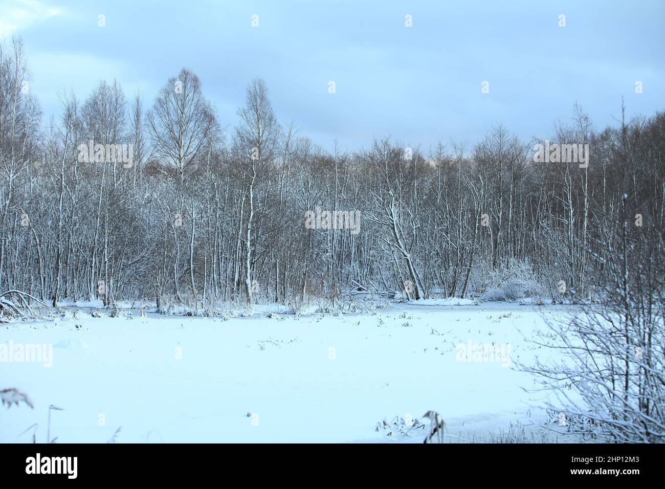 Weißer, gefrorener Waldsee, umgeben von schneebedeckten Bäumen Stockfoto