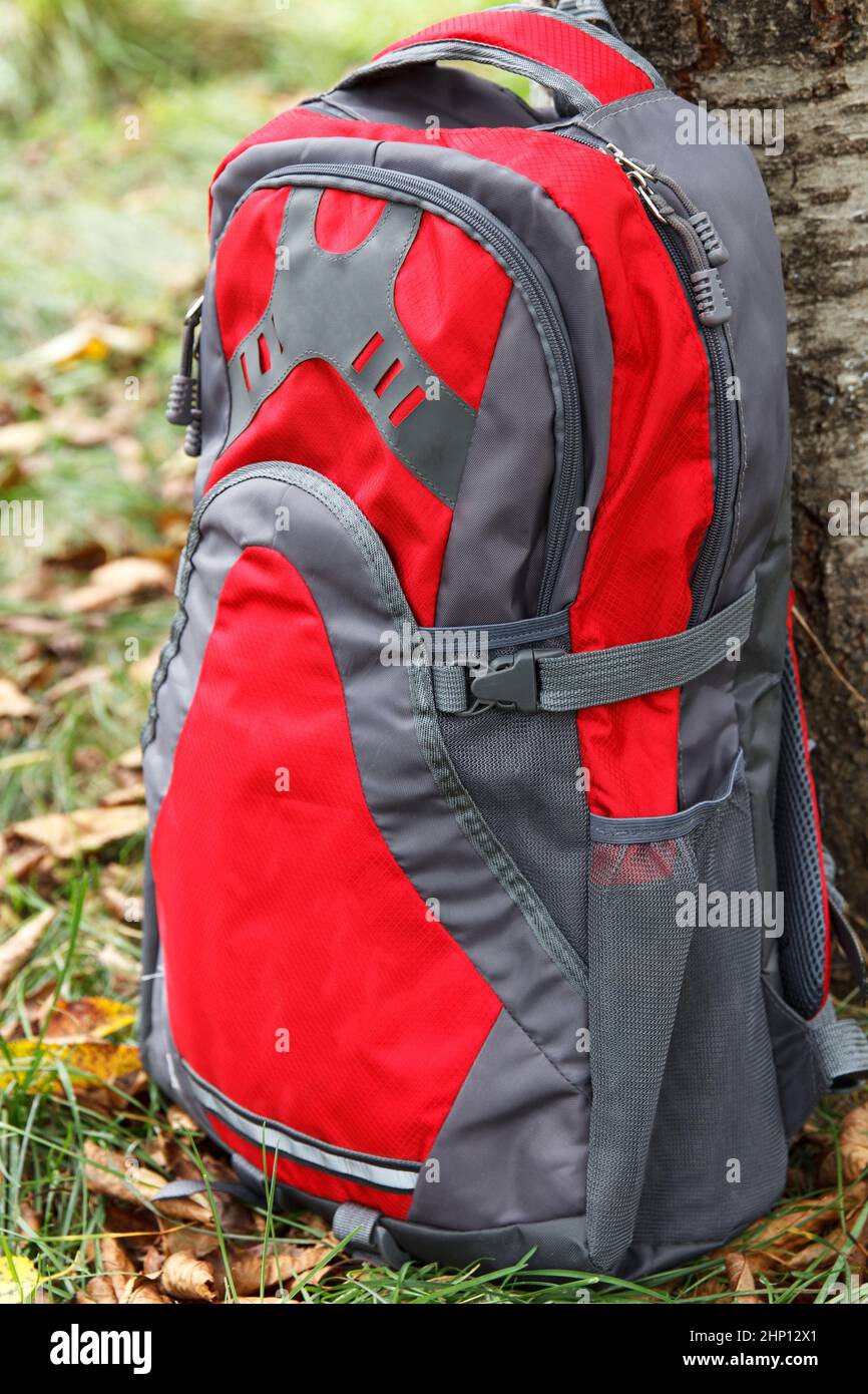 Bequemer und hochwertiger Campingrucksack, rot-graue Farbe, bei einem Baum auf einer Wanderung, auf einem Campingplatz gesetzt Stockfoto