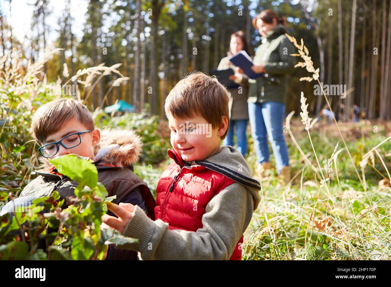 Zwei Kinder identifizieren Bäume im naturwissenschaftlichen Unterricht als Naturpädagogik im Wald Stockfoto