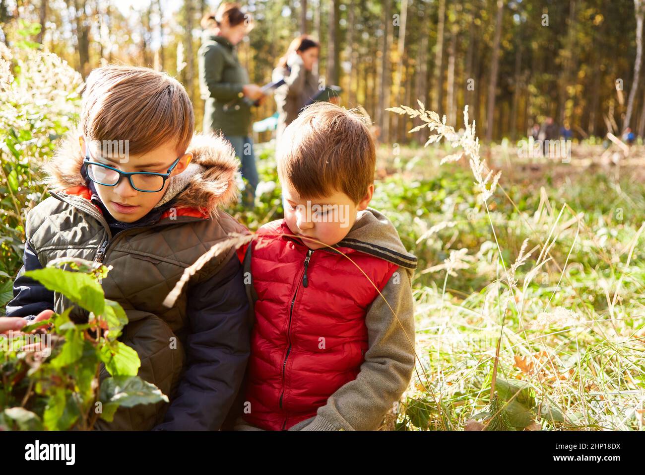 Kinder der Waldtagesstätte nehmen als Waldpädagogik an einem baumwissenschaftlichen Unterricht während einer Führung durch den Wald Teil Stockfoto
