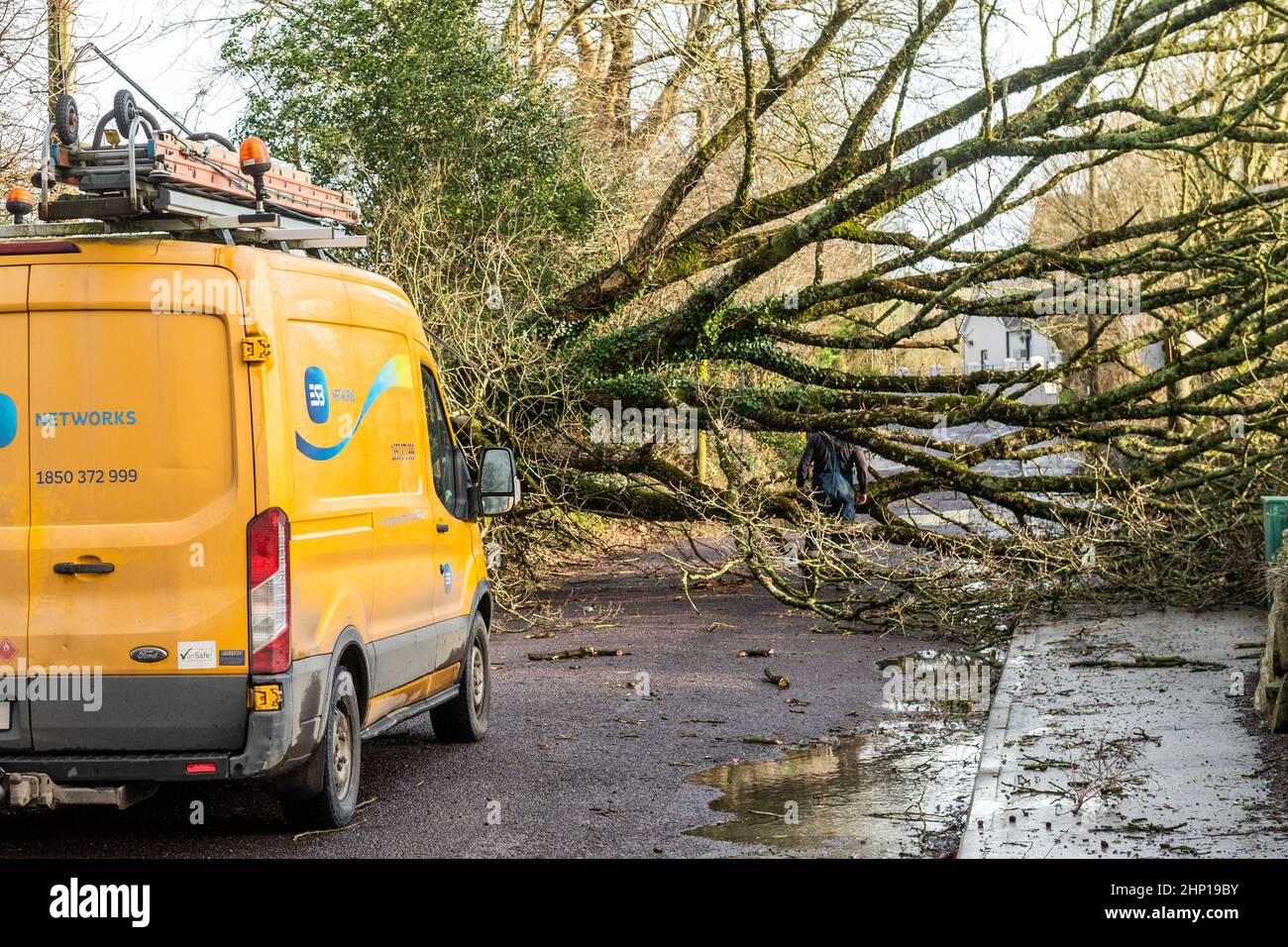 Dunmanway. West Cork, Irland. 18th. Februar 2022. Ein Baum fiel heute während des Sturms Eunice in der Nähe des Dunmanway Hospital nieder und blockierte die Straße vollständig. Der ESB kam am Tatort an, um sich mit den gefallenen Elektrokabeln zu befassen. Quelle: AG News/Alamy Live News Stockfoto