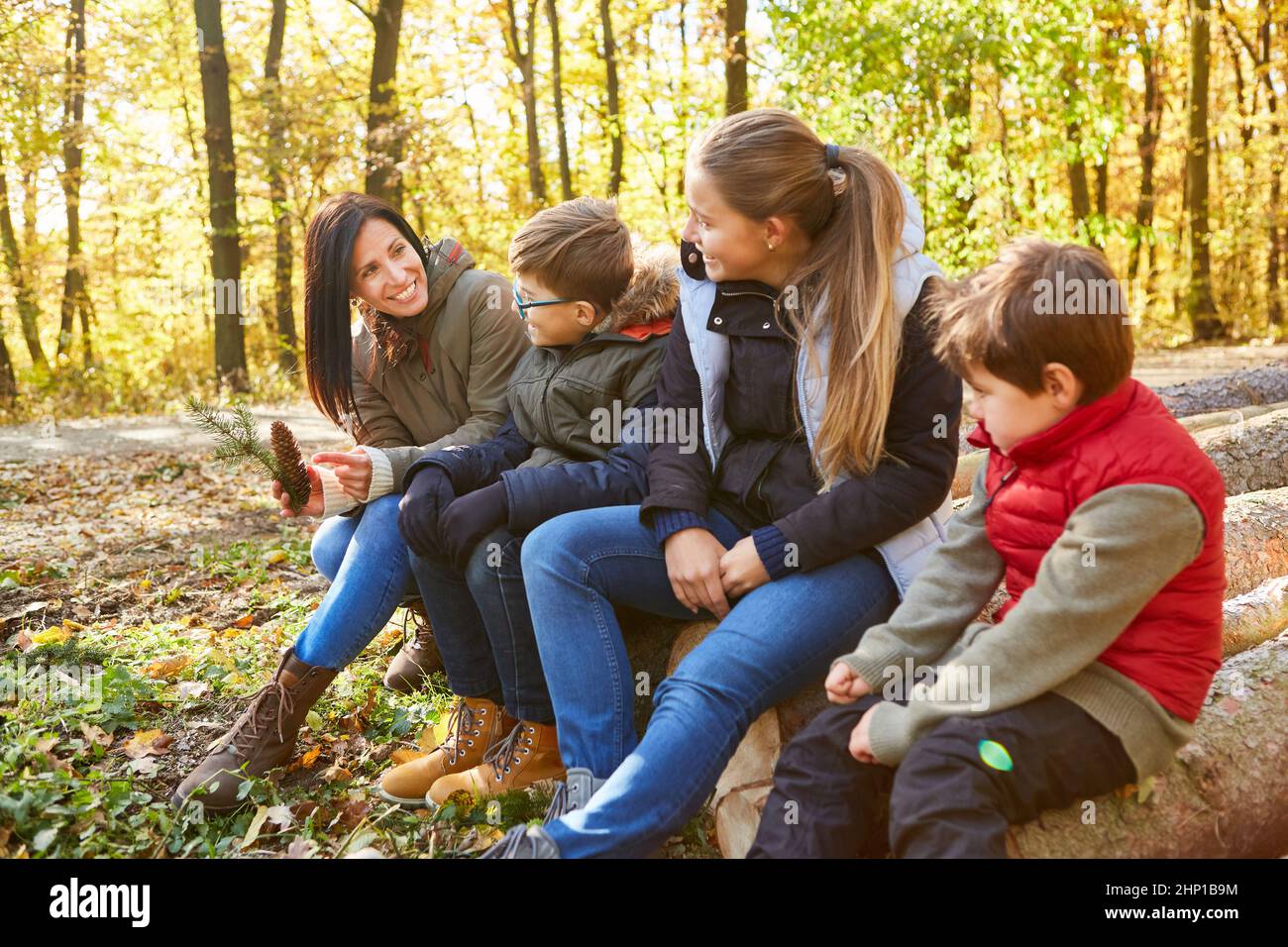 Kinder und Lehrer in Baumstudien Unterricht im Wald als Waldpädagogik und Naturgeschichte Stockfoto