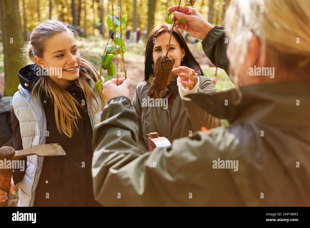 Kinder und Lehrer identifizieren Bäume im Wald für die Aufforstung als Naturerziehung Stockfoto