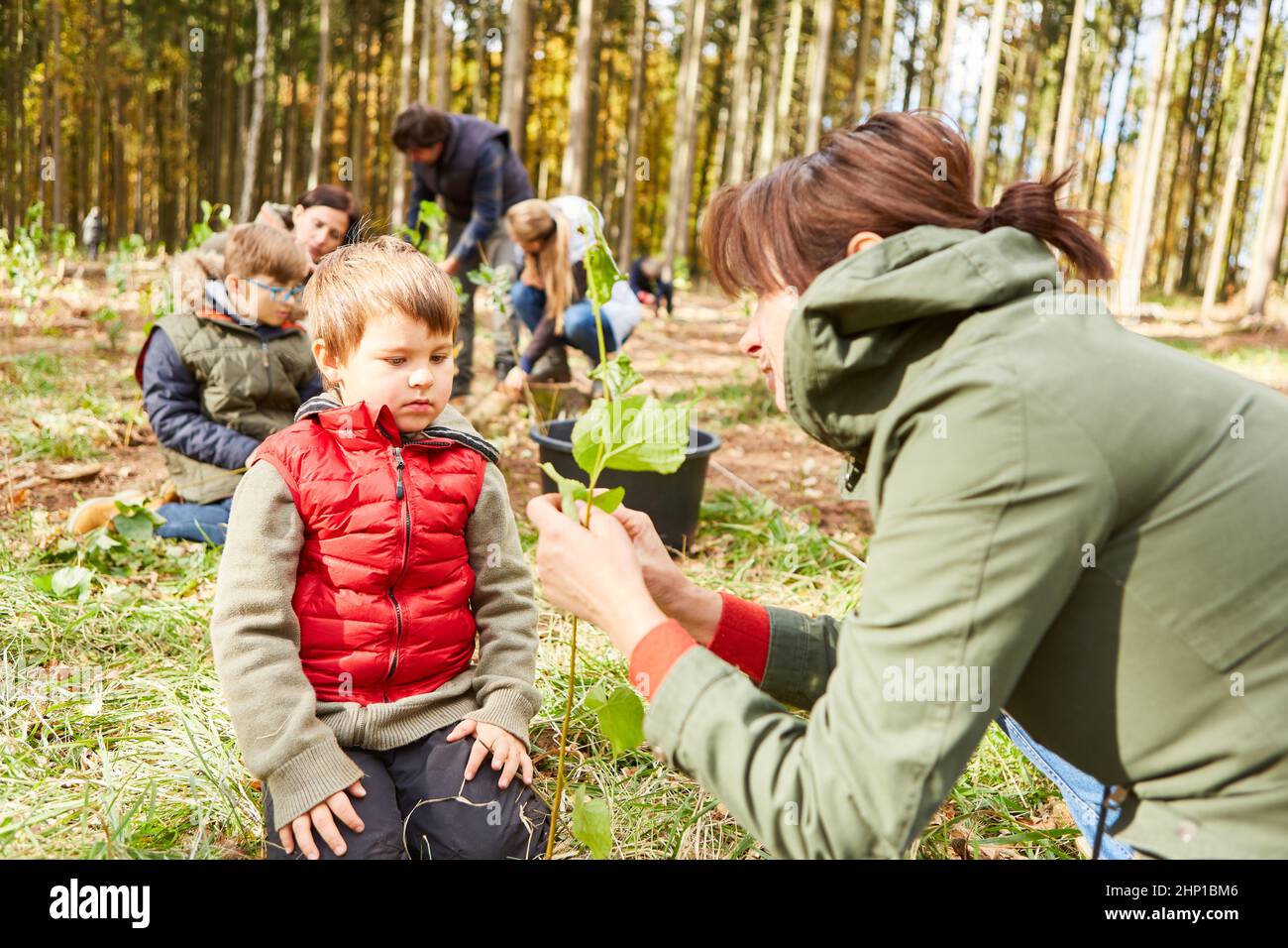 Lehrer und Kind aus der Waldtagesstätte mit Sämling während des Baumwissenschaftsunterrichts als Waldpädagogik Stockfoto