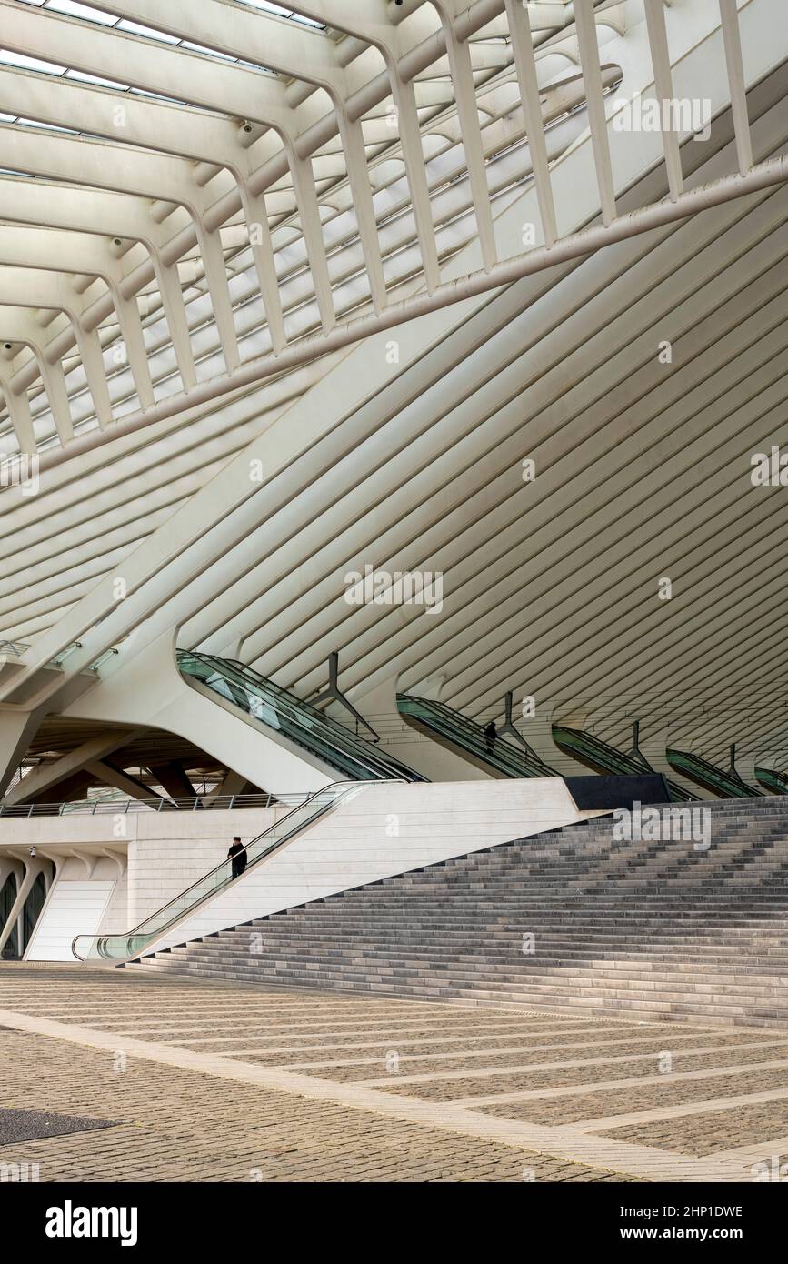 Lüttich, Bahnhof Liège-Guillemins, Entwurf 2009 Santiago Calatrava; Bahnhofshalle mit Rolltreppe Stockfoto