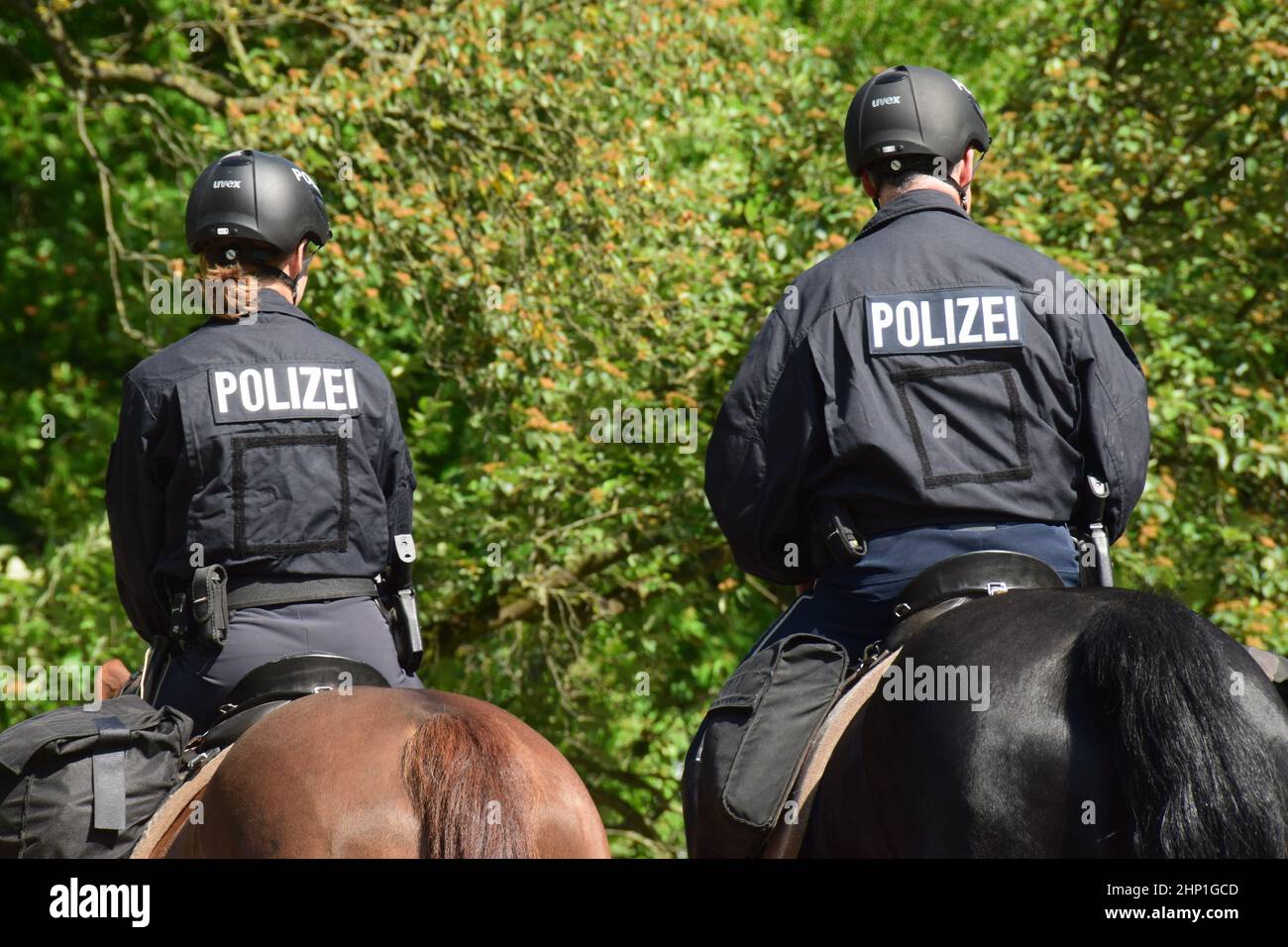 Berittene Polizeistreife in Hannover Stockfoto