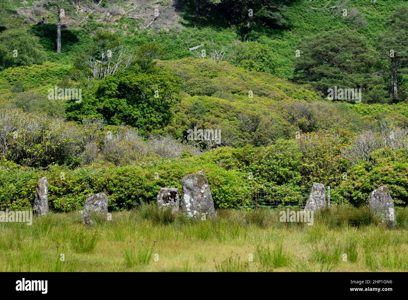 Lochbuie Standing Stones auf der Isle of Mull, Schottland Stockfoto