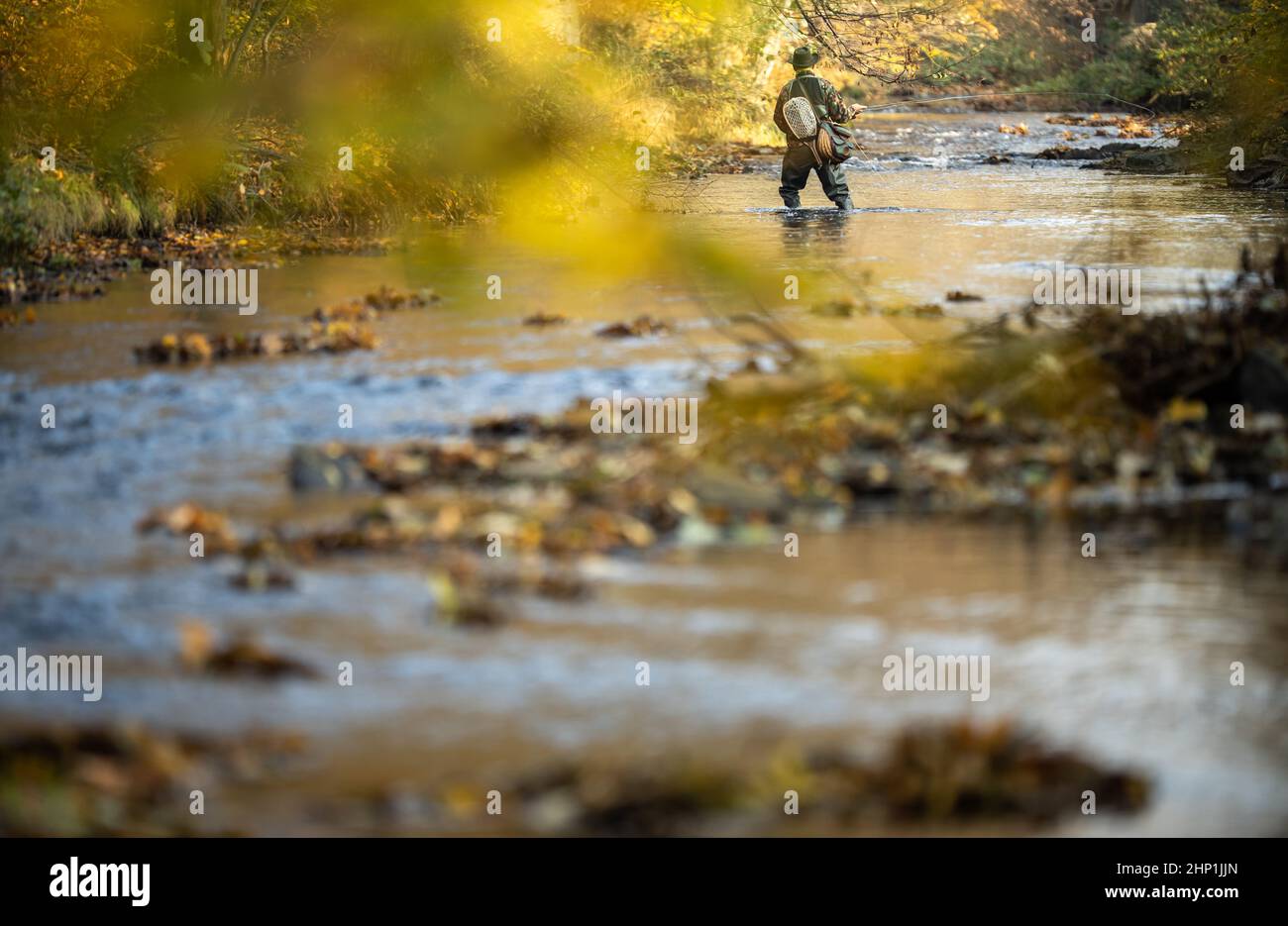 Fischer Fliege Fischen auf einem herrlichen Berg river Fly Stockfoto