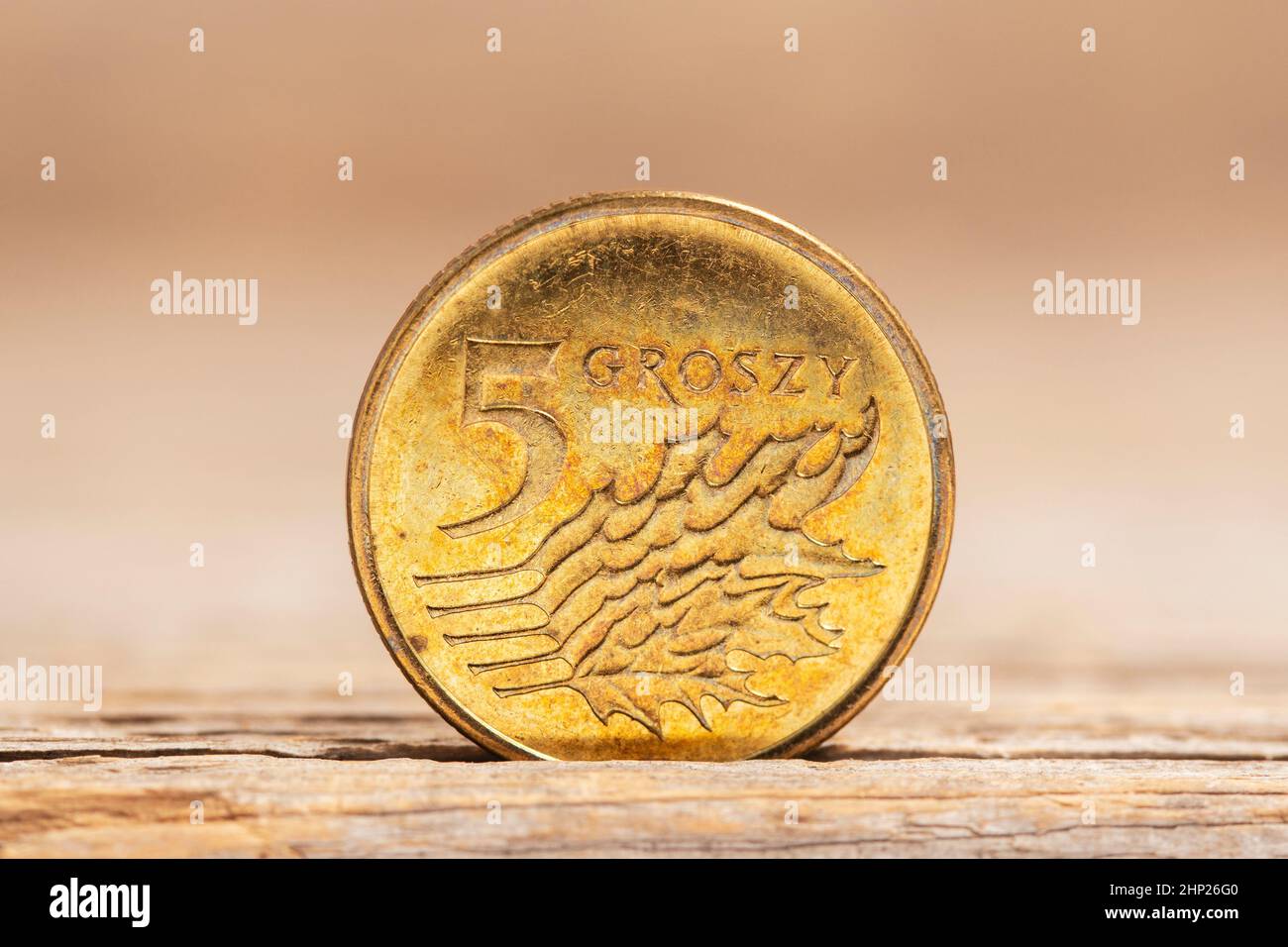 Polnisches Geld fünf grosze Kupfermünzen Nahaufnahme. Flacher Freiheitsgrad Stockfoto