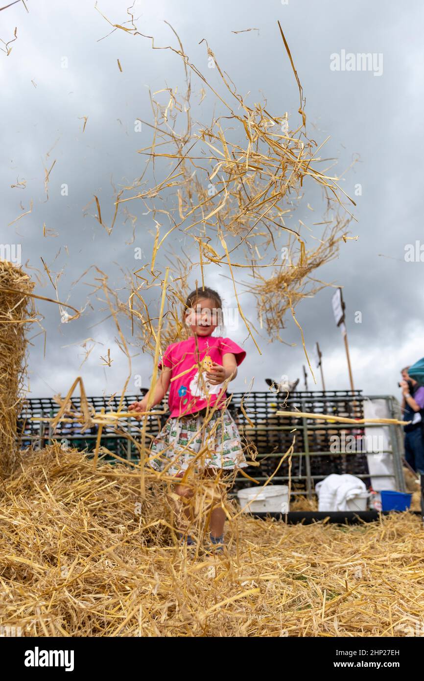 Junge Mädchen, die auf einer landwirtschaftlichen Show in Kelso, Scottish Borders, Großbritannien, in einem Strohballen spielen. Stockfoto