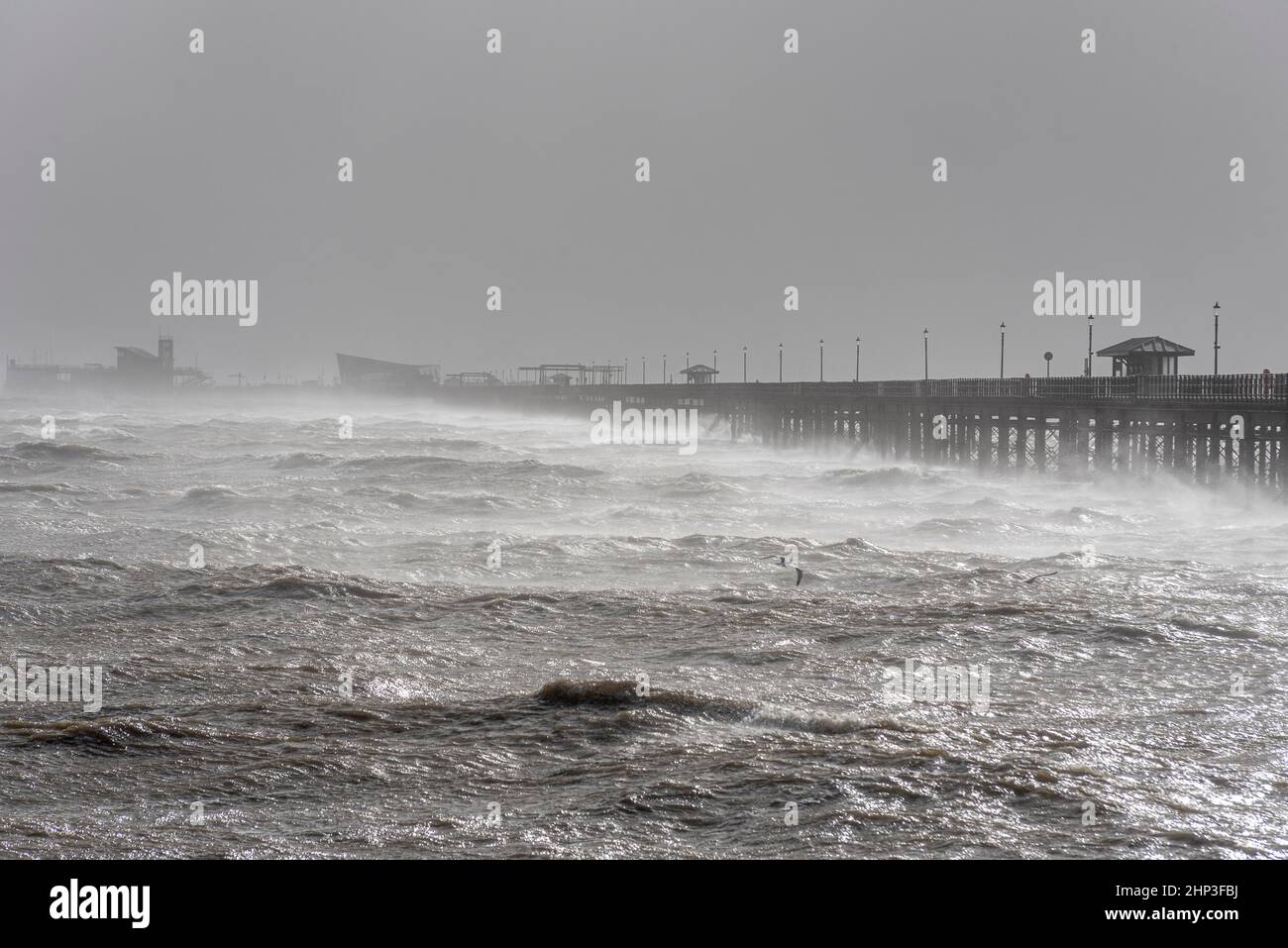 Southend on Sea, Essex, Großbritannien. 18th. Februar 2022. Der Sturm Eunice hat die Stadt an der Themse getroffen und einige Schäden verursacht, die die Menschen an die Küste locken. In der Valkyrie Road in Westcliff on Sea ist ein hoher Baum heruntergekommen, der den Verkehr blockiert Stockfoto