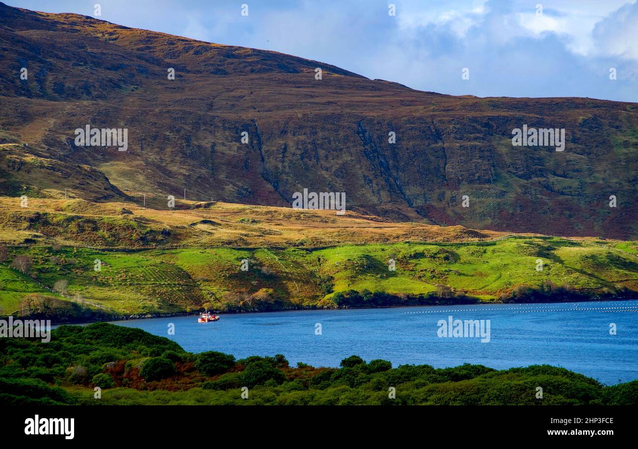 Killary Harbour Fjord, County Galway, County Mayo, Irland Stockfoto