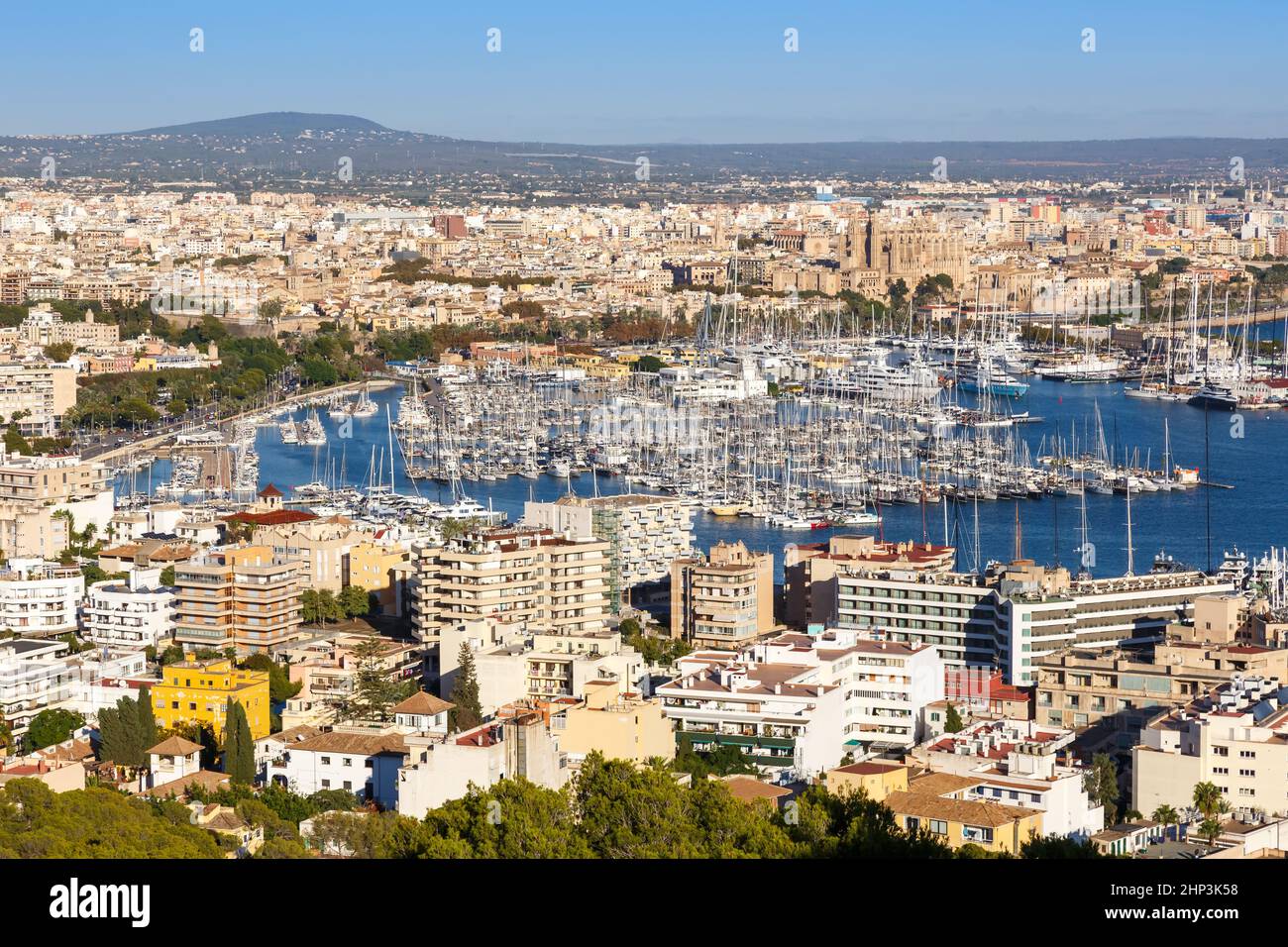 Palma de Mallorca Marina Hafen Hafen mit Booten Reisen Urlaub Stadt in Spanien Stockfoto