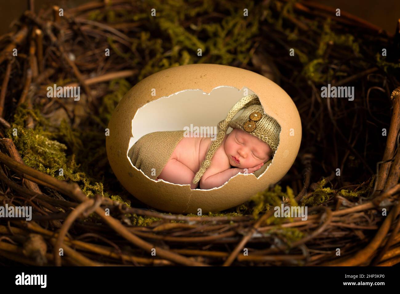 Entzückender kleiner neugeborener Junge von nur 11 Tagen, der in einem offenen braunen Hühnerei schläft Stockfoto