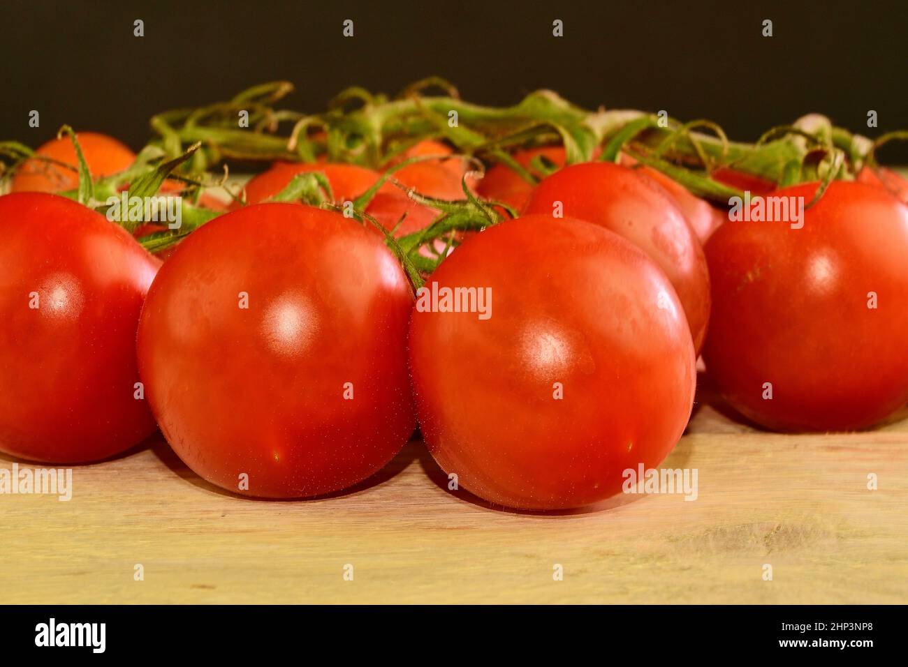 Frische Kirschtomaten auf rustikalem Holzhintergrund. Weißer und schwarzer Hintergrund. Platz für Text kopieren. Stockfoto
