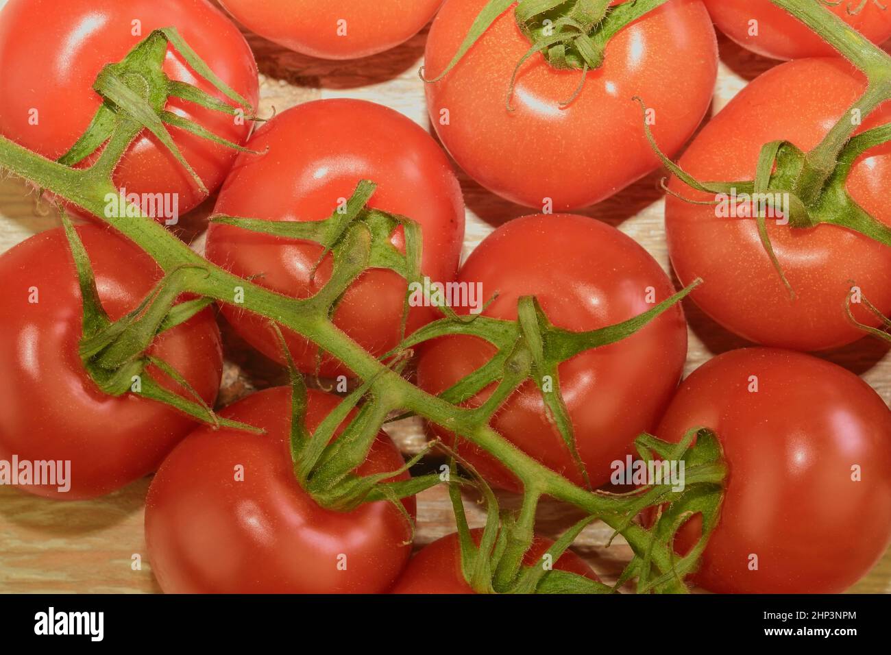 Frische Kirschtomaten auf rustikalem Holzhintergrund. Weißer Hintergrund. Nahaufnahme. Stockfoto