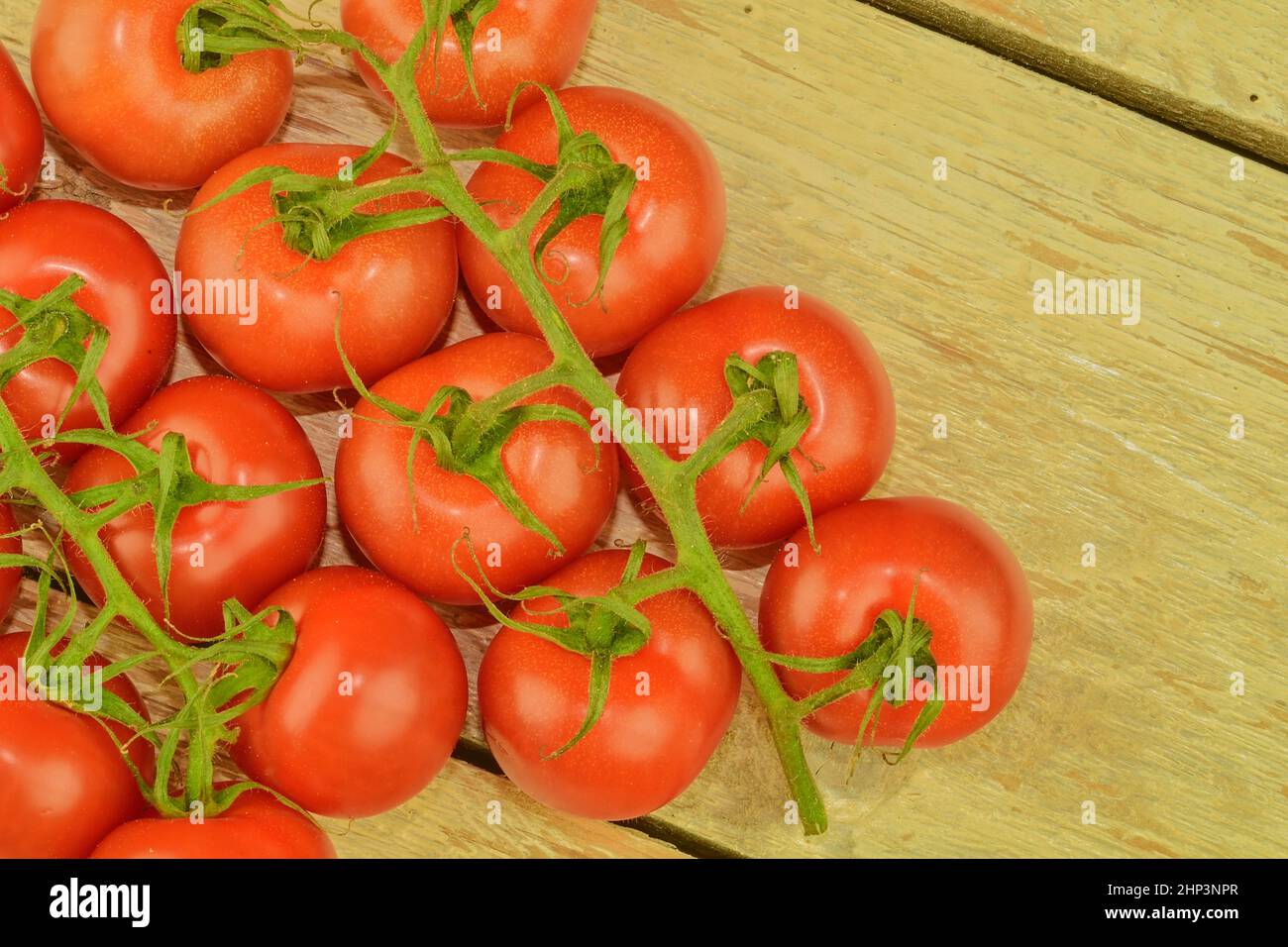 Frische Kirschtomaten auf rustikalem weißen Holzhintergrund. Weißer Hintergrund. Nahaufnahme. Platz für Text kopieren. Stockfoto