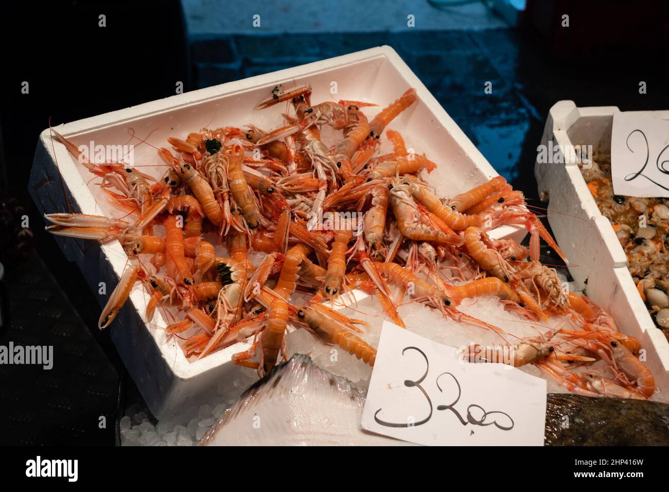 Frische Langoustine Scampi in Venedig Italien auf Eis in einer Styropor-Box Stockfoto