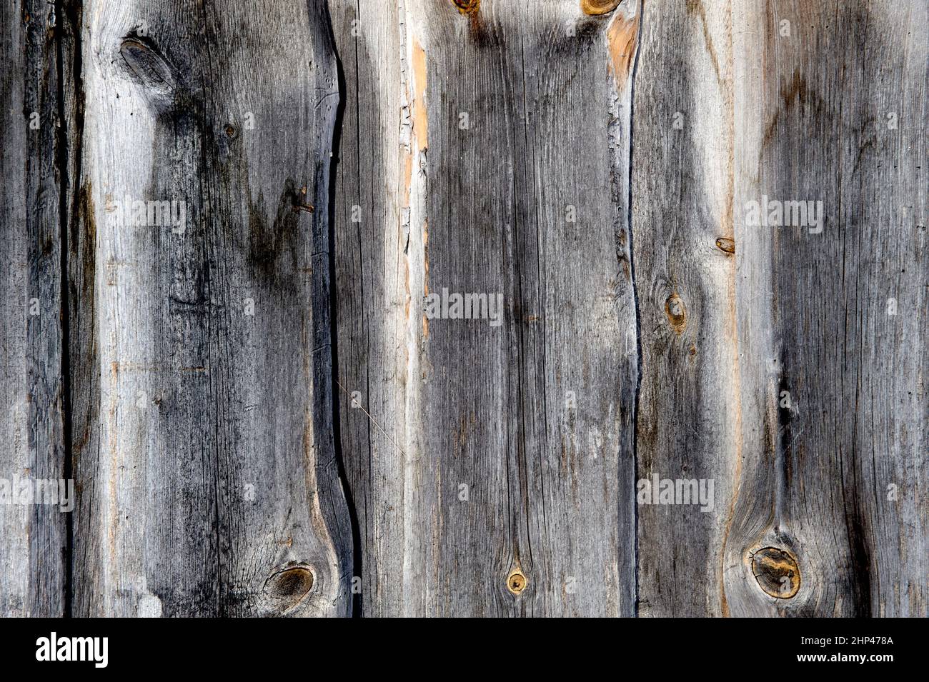 Alte Bretter stehen aufrecht, Holzdiele Hintergrund. Hochwertige Fotos Stockfoto