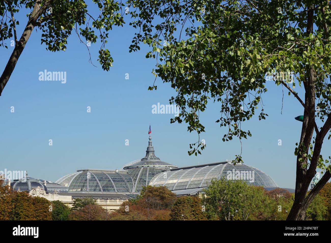 Der Grand Palais in Paris (Frankreich) Stockfoto