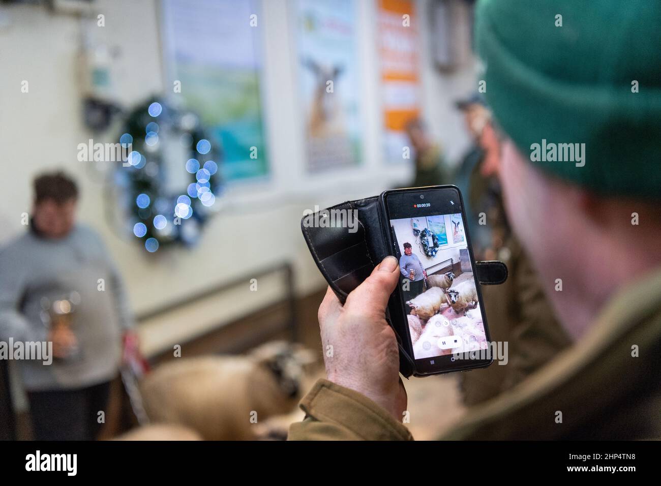Landwirt, der Lämmer im Auktionsmarkt auf seinem Mobiltelefon, Lancaster, Großbritannien, filmt. Stockfoto