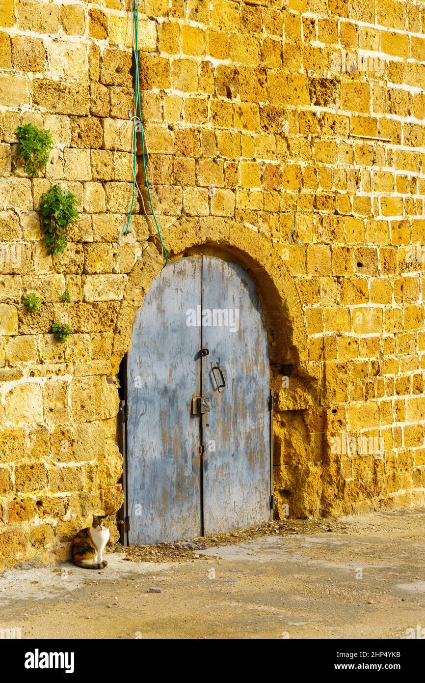 Ansicht einer von einer Katze bewachten Luke in der Landmauer in der Altstadt von Akko, Nordisraelisch Stockfoto