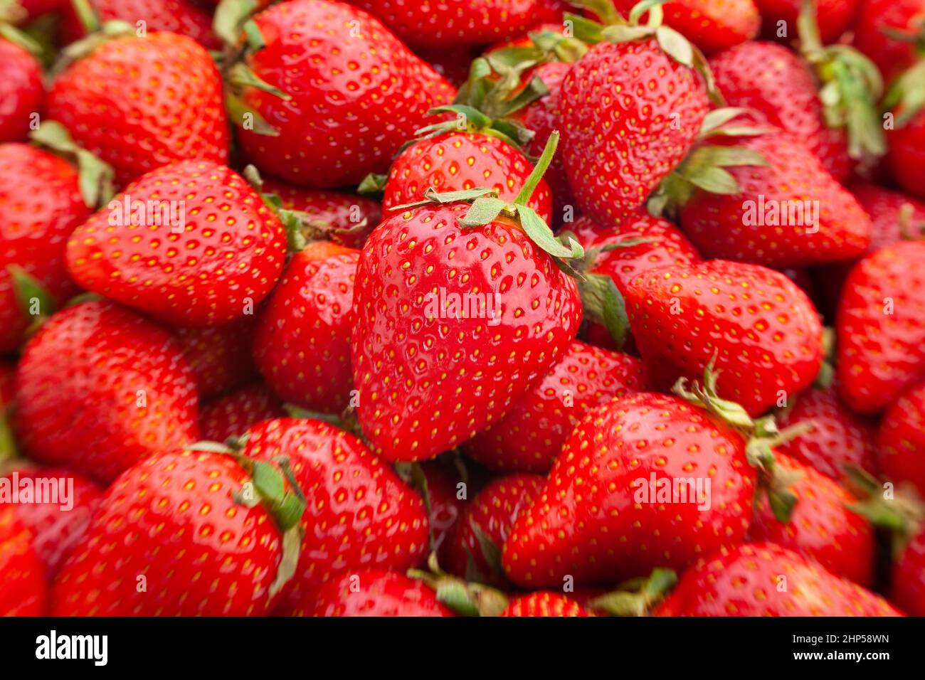 Details zum Nahbereich des Strawberry-Makros Stockfoto