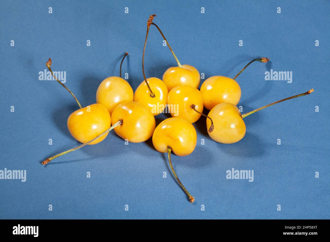 Gelbe Kirsche auf blauem Hintergrund Stockfoto