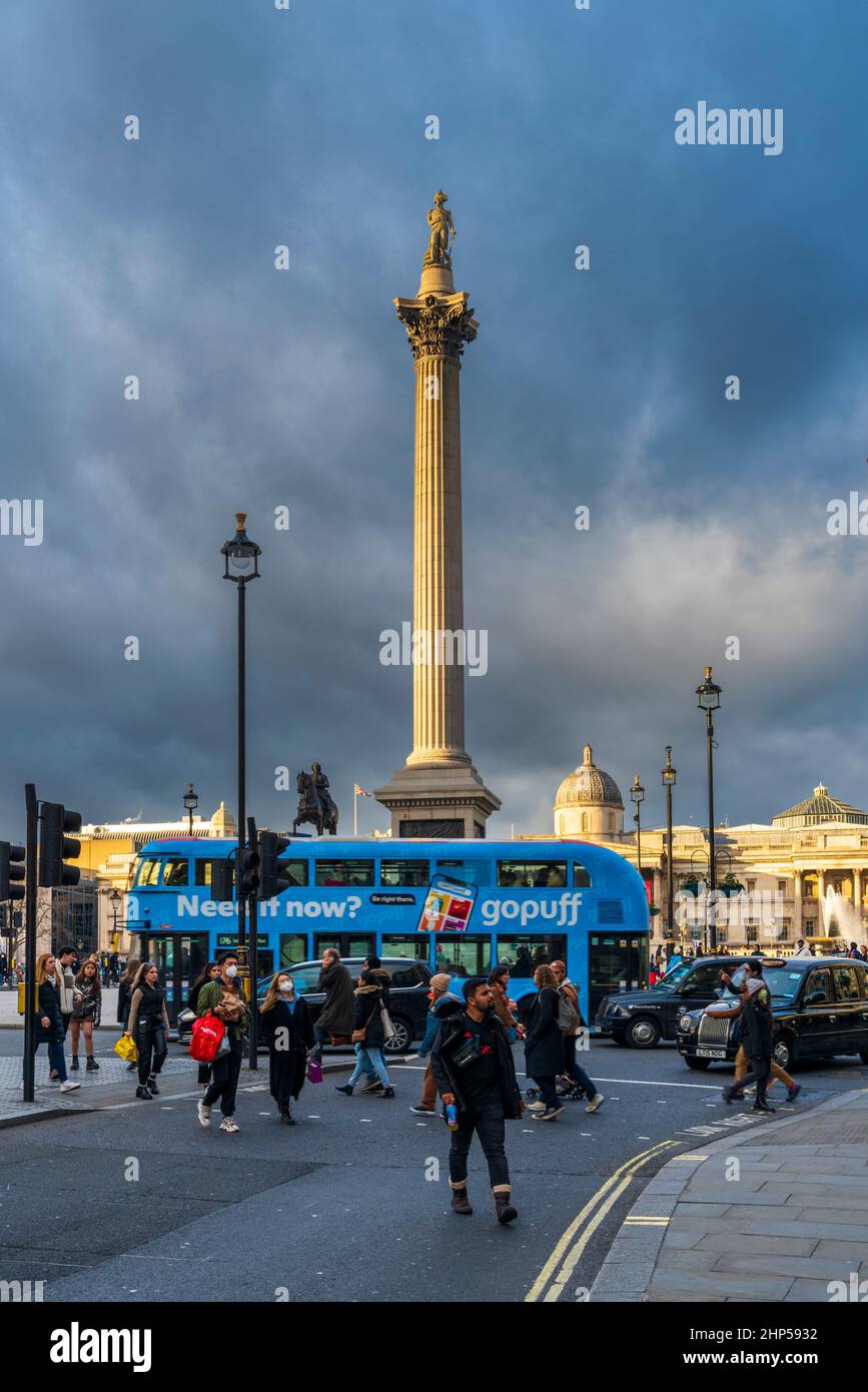 Nelson's Column, Trafalgar Square, London, Großbritannien, Europa. Stockfoto