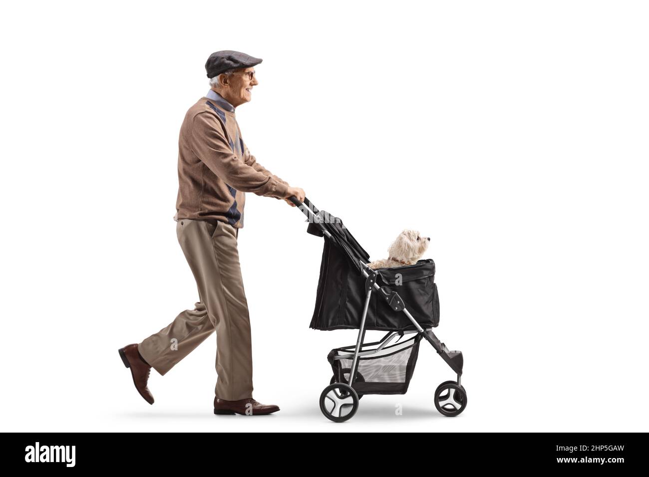 Ganzkörperaufnahme eines älteren Mannes, der einen maltesischen Pudelhund in einem Kinderwagen auf weißem Hintergrund läuft Stockfoto