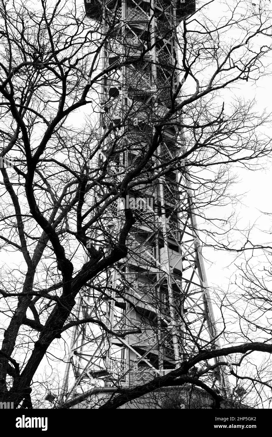 Schwarz-weißes Bild des Petrin Aussichtsturms vom Boden aus, der im Winter über dem Petrin Park mit nackten Bäumen aufsteigt Prag, Tschechische Republik Stockfoto