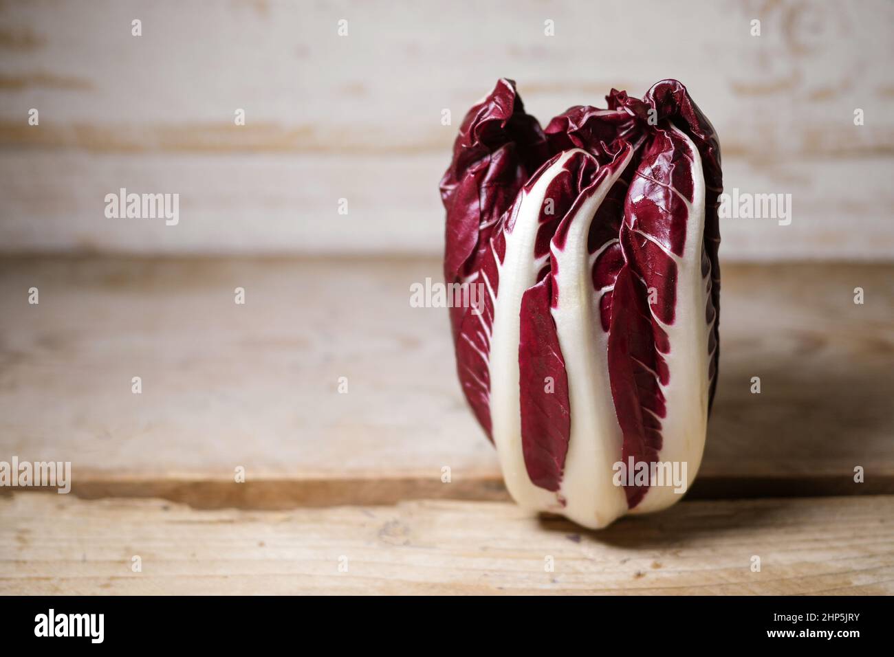 Radicchio Treviso oder italienische Zichorie, rotes Blattgemüse auf einem rustikalen Holztisch stehend, Kopierraum, ausgewählter Fokus, enge Schärfentiefe Stockfoto