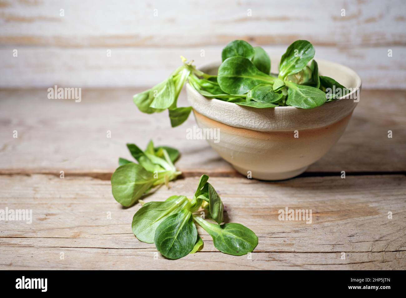 Bio-Maissalat oder Lammsalat in einer Schüssel auf einem rustikalen Holztisch, Kopierraum, ausgewählter Fokus, enge Schärfentiefe Stockfoto