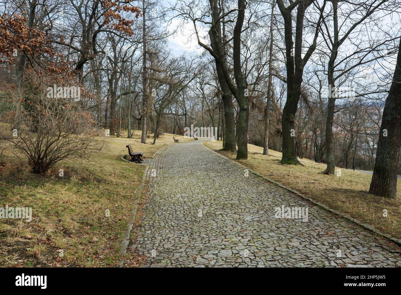 Leere Bank auf verlassenen gewundenen gepflasterten Wegen durch den Wald auf Petrin Hügel, ohne Menschen, Winter, Prag, Tschechische Republik Stockfoto