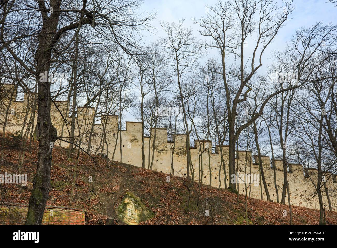 Die Zinnen der Burgmauer auf dem Petrin-Hügel, mit nackten Bäumen, Winter, Prag, Tschechische Republik Stockfoto