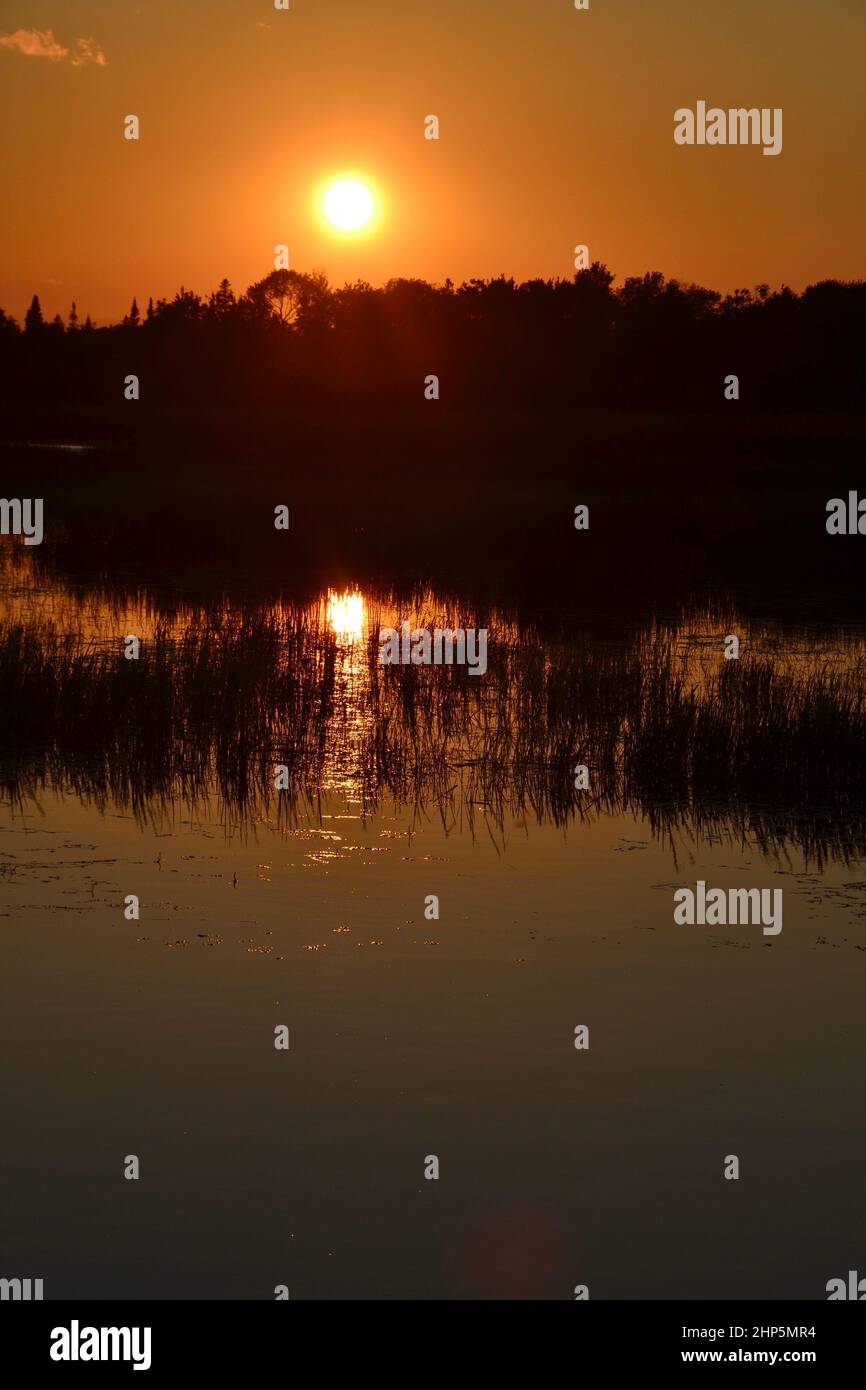 Leuchtend orangefarbener Sonnenuntergang über dem Sturgeon Lake im Sommer Stockfoto