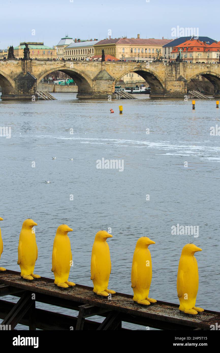 Eine Reihe von Gelben Pinguinskulpturen aus Plastik an der Moldau, mit der Karlsbrücke im Hintergrund, Prag, Tschechische republik Stockfoto