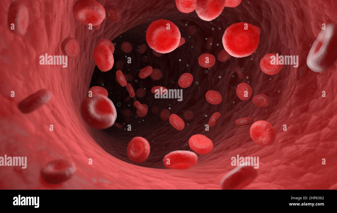 Rote Blutkörperchen in einer menschlichen Arterie, Illustration. Stockfoto