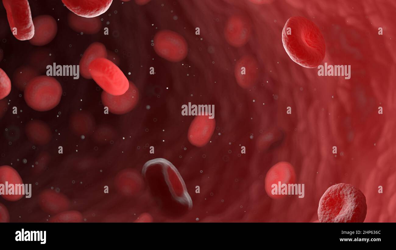 Rote Blutkörperchen in einer menschlichen Arterie, Illustration. Stockfoto