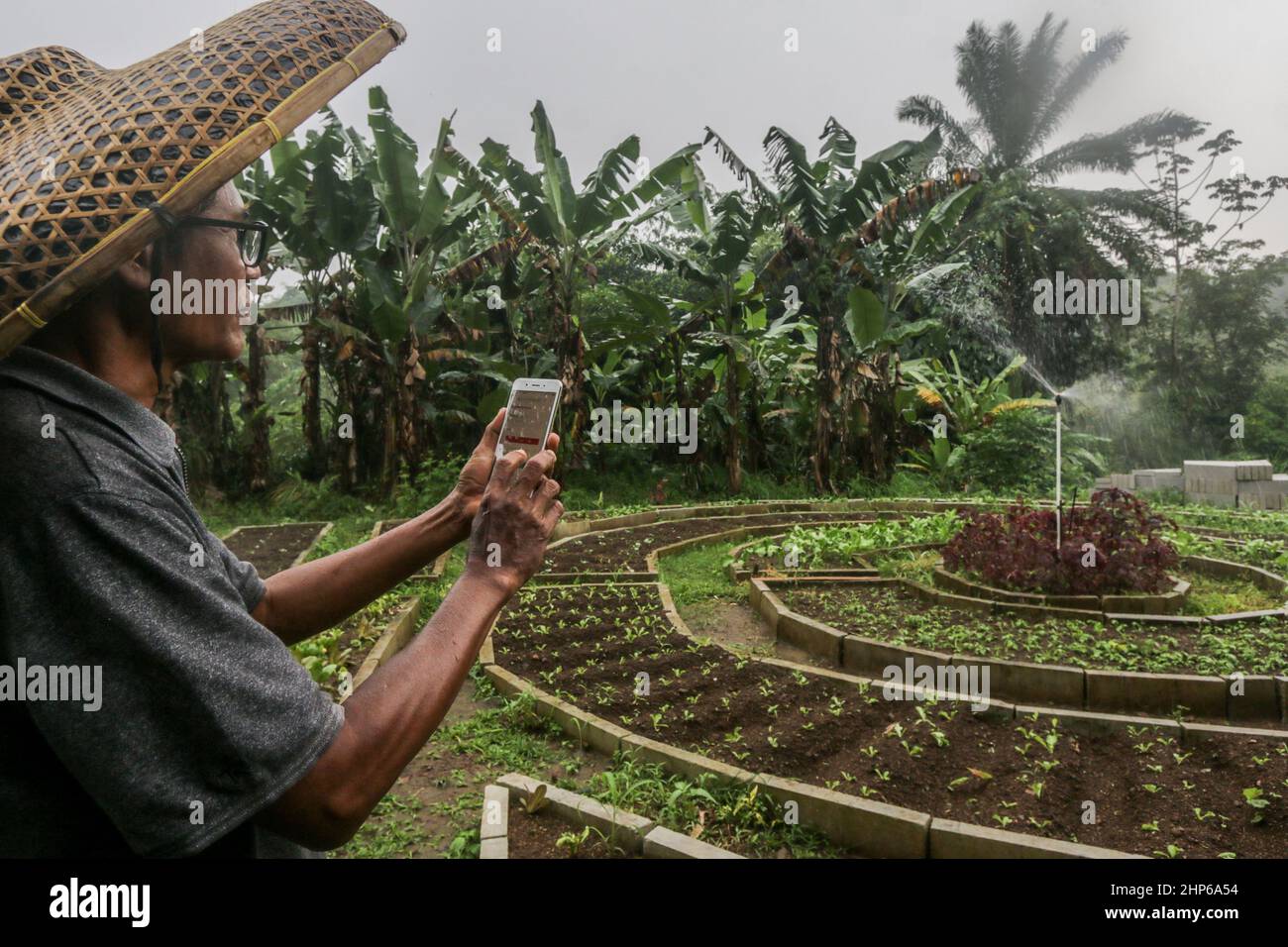 BOGOR, INDONESIEN - 18. Februar 2022: Farm verwendet Internet-Netzwerk als Fernsteuerung für Bewässerungsanlagen in Bogor, Indonesien, 18. Februar 2022 Stockfoto