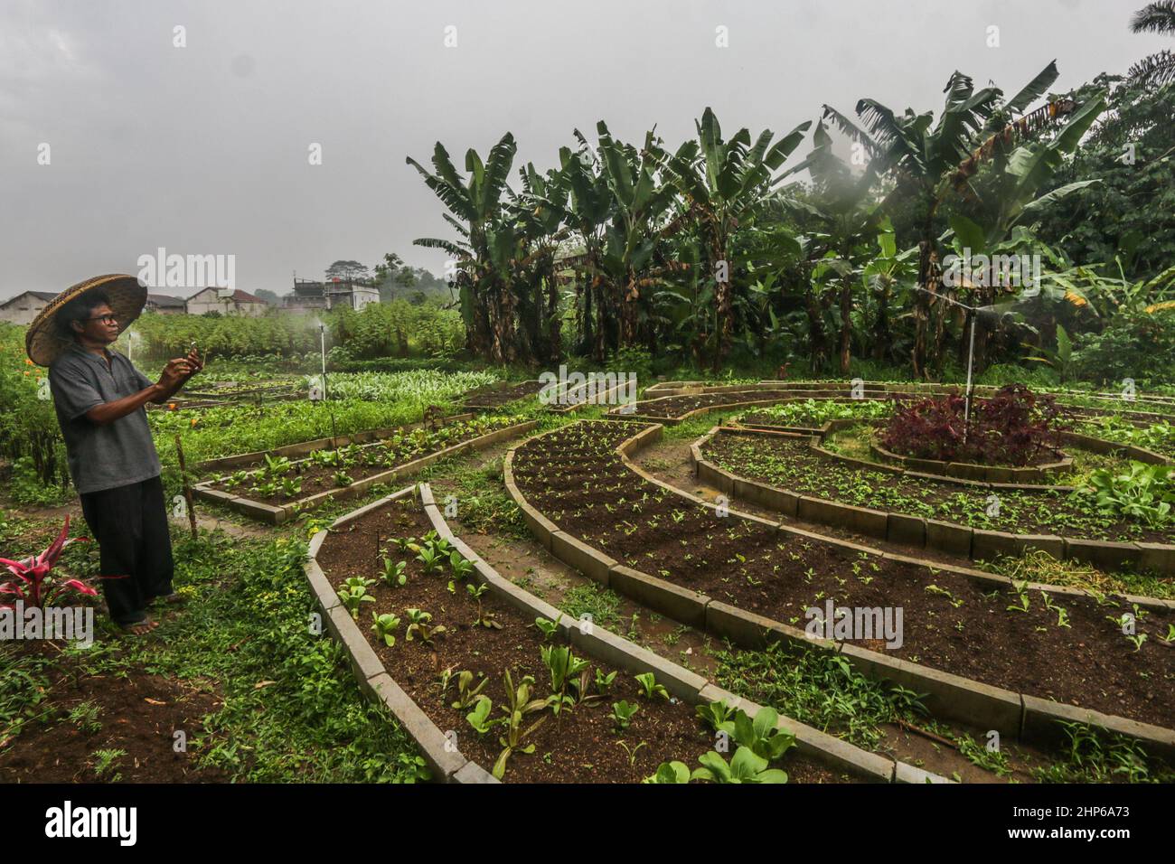 BOGOR, INDONESIEN - 18. Februar 2022: Farm verwendet Internet-Netzwerk als Fernsteuerung für Bewässerungsanlagen in Bogor, Indonesien, 18. Februar 2022 Stockfoto
